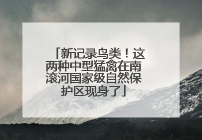 新记录鸟类！这两种中型猛禽在南滚河国家级自然保护区现身了