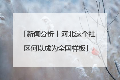 新闻分析丨河北这个社区何以成为全国样板