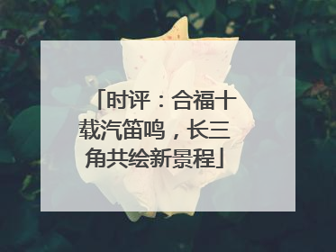 时评：合福十载汽笛鸣，长三角共绘新景程