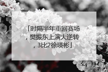 时隔半年重回赛场，樊振东上演大逆转，3比2徐瑛彬
