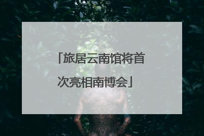 旅居云南馆将首次亮相南博会