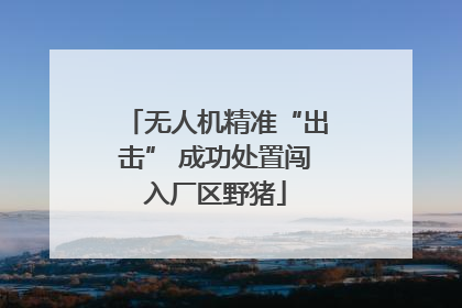 无人机精准“出击” 成功处置闯入厂区野猪