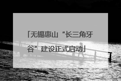 无锡惠山“长三角牙谷”建设正式启动