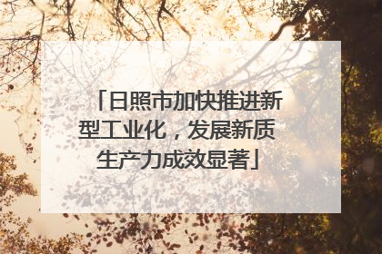 日照市加快推进新型工业化，发展新质生产力成效显著