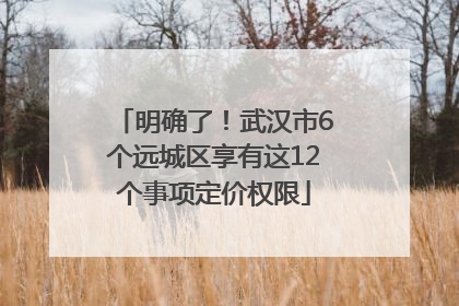 明确了！武汉市6个远城区享有这12个事项定价权限
