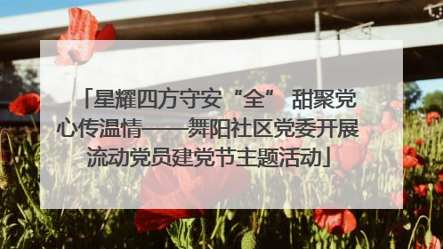 星耀四方守安“全” 甜聚党心传温情——舞阳社区党委开展流动党员建党节主题活动