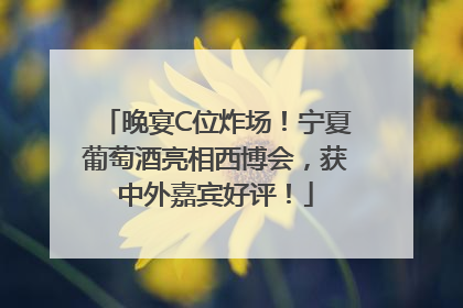 晚宴C位炸场！宁夏葡萄酒亮相西博会，获中外嘉宾好评！