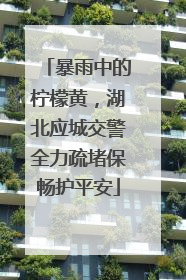 暴雨中的柠檬黄，湖北应城交警全力疏堵保畅护平安