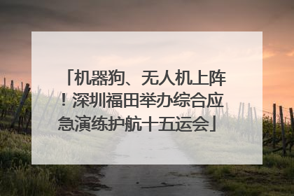 机器狗、无人机上阵！深圳福田举办综合应急演练护航十五运会