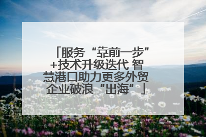 服务“靠前一步”+技术升级迭代 智慧港口助力更多外贸企业破浪“出海”