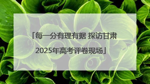 每一分有理有据 探访甘肃2025年高考评卷现场