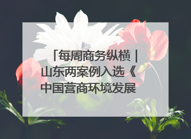 每周商务纵横｜山东两案例入选《中国营商环境发展报告（2025）》；山东外贸优品购物季进机关活动在济南举办