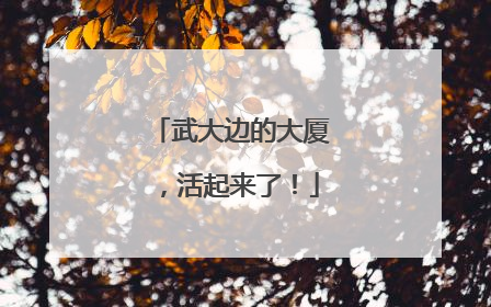 武大边的大厦，活起来了！