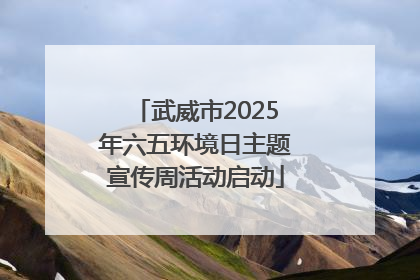 武威市2025年六五环境日主题宣传周活动启动