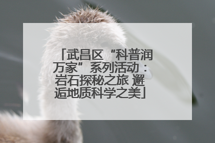 武昌区“科普润万家”系列活动：岩石探秘之旅 邂逅地质科学之美