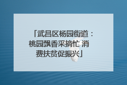 武昌区杨园街道：桃园飘香采摘忙 消费扶贫促振兴