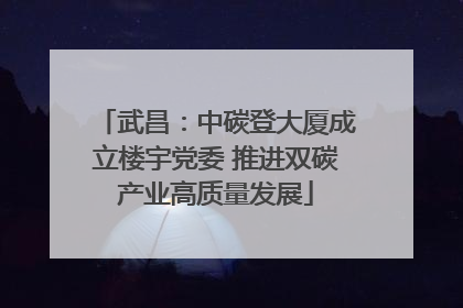 武昌：中碳登大厦成立楼宇党委 推进双碳产业高质量发展