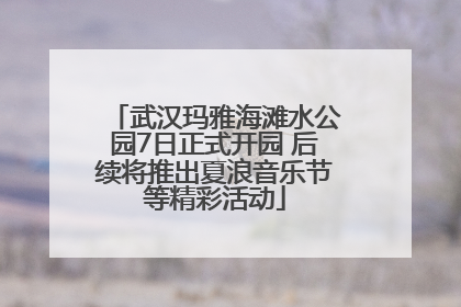 武汉玛雅海滩水公园7日正式开园 后续将推出夏浪音乐节等精彩活动