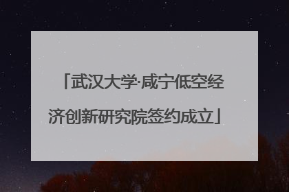 武汉大学·咸宁低空经济创新研究院签约成立