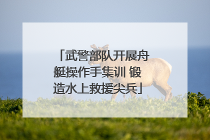 武警部队开展舟艇操作手集训 锻造水上救援尖兵