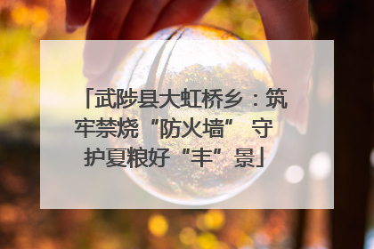 武陟县大虹桥乡：筑牢禁烧“防火墙” 守护夏粮好“丰”景