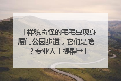 样貌奇怪的毛毛虫现身厦门公园步道，它们是啥？专业人士提醒→