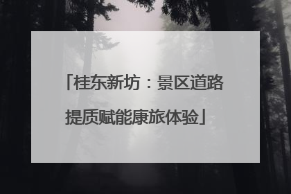 桂东新坊：景区道路提质赋能康旅体验