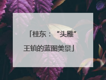 桂东：“头雁”王镇的蓝图美景