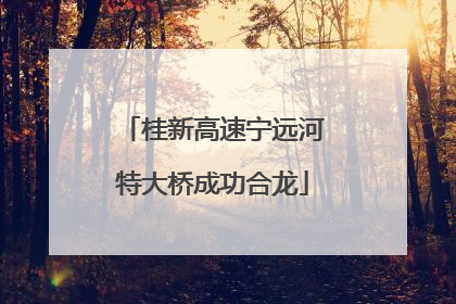 桂新高速宁远河特大桥成功合龙