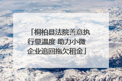 桐柏县法院善意执行显温度 助力小微企业追回拖欠租金
