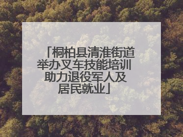 桐柏县清淮街道举办叉车技能培训 助力退役军人及居民就业