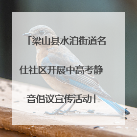 梁山县水泊街道名仕社区开展中高考静音倡议宣传活动