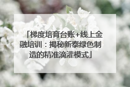 梯度培育台账+线上金融培训：揭秘新泰绿色制造的精准滴灌模式