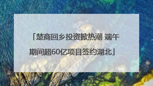 楚商回乡投资掀热潮 端午期间超60亿项目签约湖北