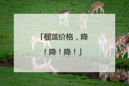 榴莲价格，降！降！降！