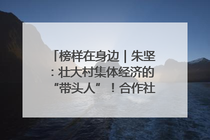 榜样在身边｜朱坚：壮大村集体经济的“带头人”！合作社经营收入三年内突破1200万元