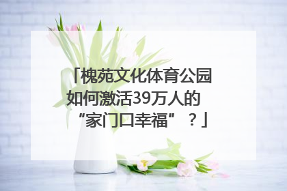 槐苑文化体育公园如何激活39万人的“家门口幸福”？
