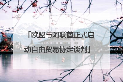 欧盟与阿联酋正式启动自由贸易协定谈判