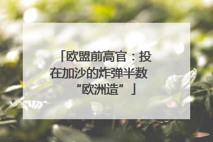欧盟前高官：投在加沙的炸弹半数“欧洲造”