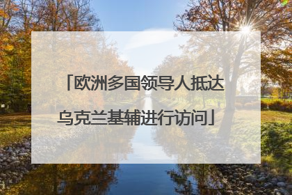欧洲多国领导人抵达乌克兰基辅进行访问