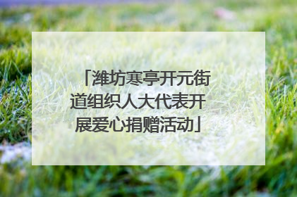 潍坊寒亭开元街道组织人大代表开展爱心捐赠活动