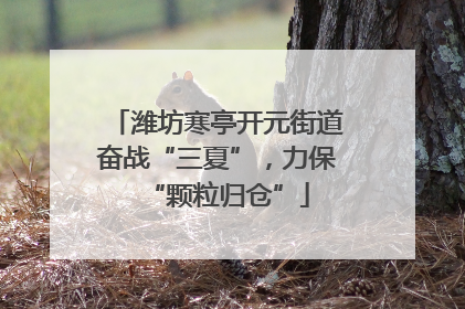 潍坊寒亭开元街道奋战“三夏”，力保“颗粒归仓”