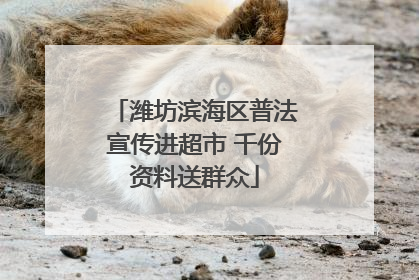 潍坊滨海区普法宣传进超市 千份资料送群众