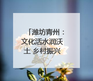 潍坊青州：文化活水润沃土 乡村振兴谱新篇