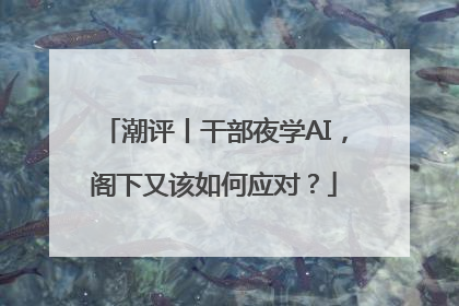 潮评丨干部夜学AI，阁下又该如何应对？