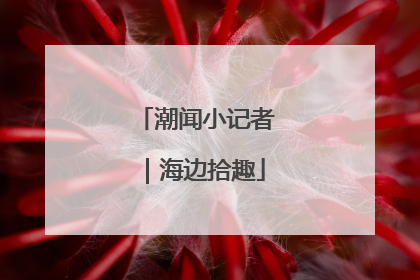 潮闻小记者｜海边拾趣