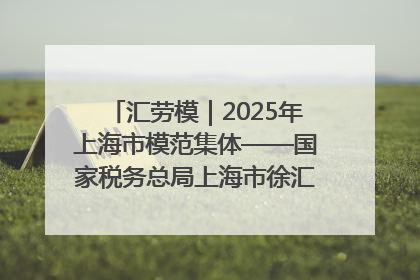 汇劳模｜2025年上海市模范集体——国家税务总局上海市徐汇区税务局第一税务所