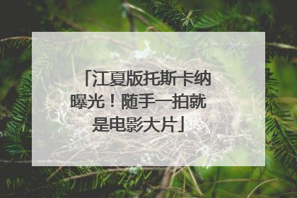 江夏版托斯卡纳曝光！随手一拍就是电影大片