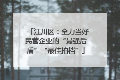 江川区：全力当好民营企业的“最强后盾”“最佳拍档”