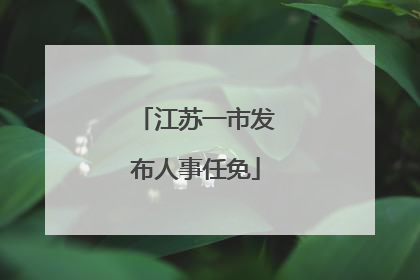 江苏一市发布人事任免